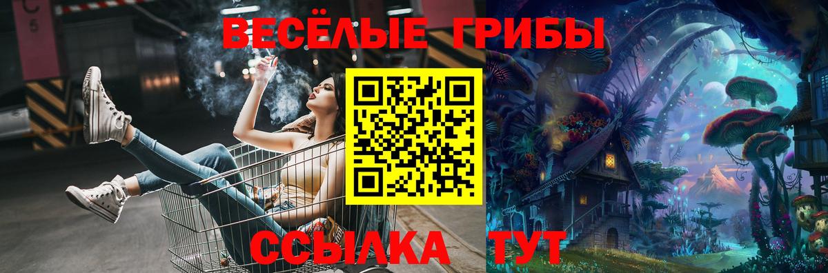Галлюциногенные грибы MAGIC MUSHROOMS  наркота  Галлюциногенные грибы MAGIC MUSHROOMS  Партизанск  Вход с VPN 